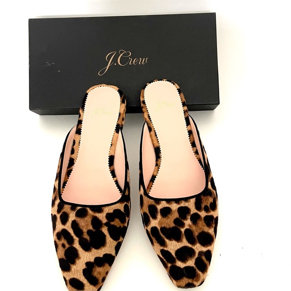 Meet your Posher, Roxy - Picture 2 of 12